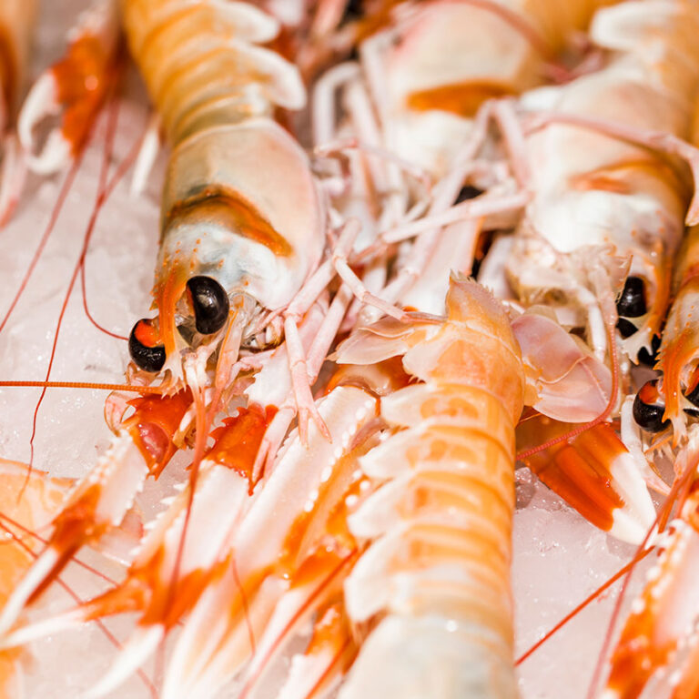 Langostinos Mariscos Barcelona