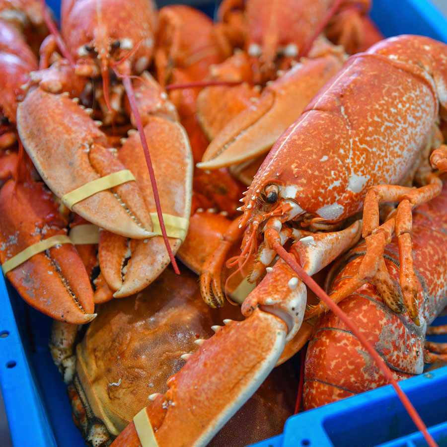 Bogavante Mariscos Barcelona